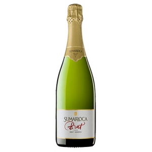 Importateur vin espagnol: Cava vin mousseux espagnol